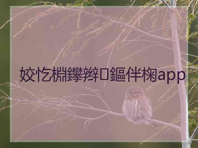 姣忔棩鑻辫鏂伴椈app