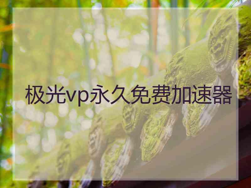 极光vp永久免费加速器