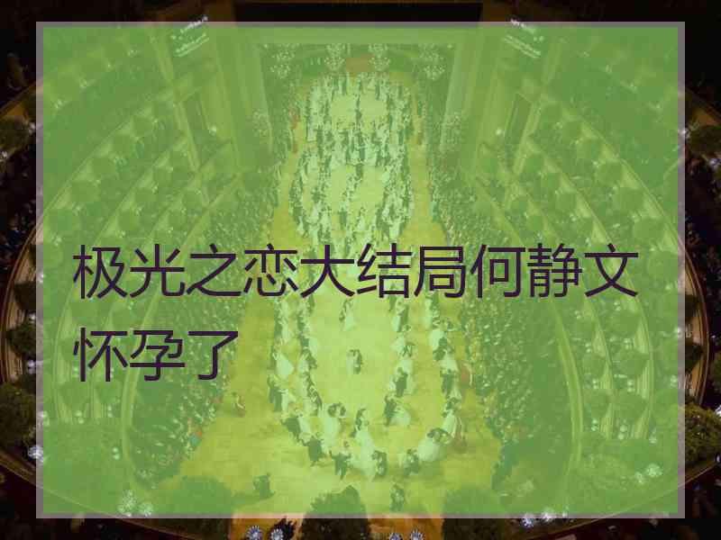 极光之恋大结局何静文怀孕了