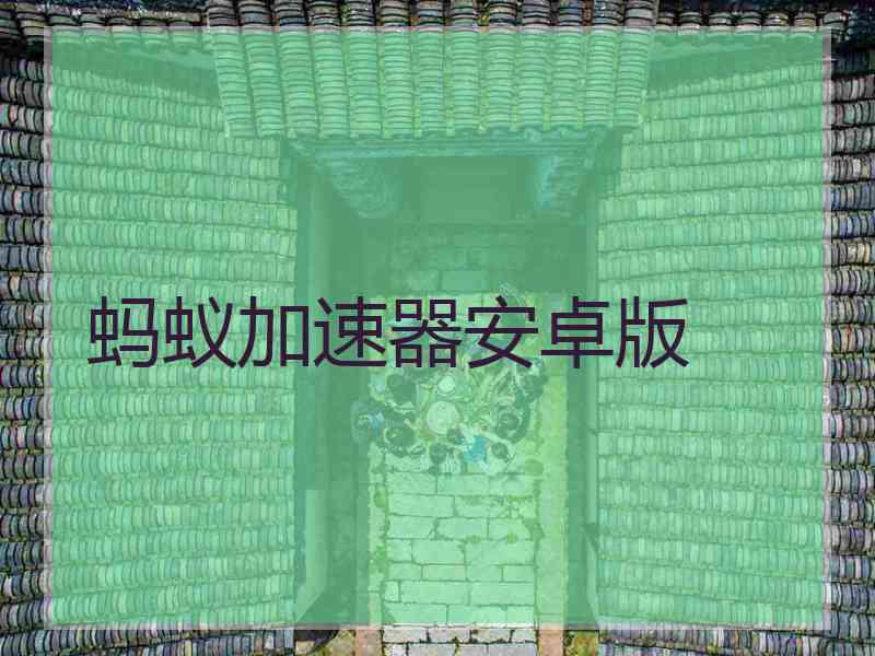 蚂蚁加速器安卓版