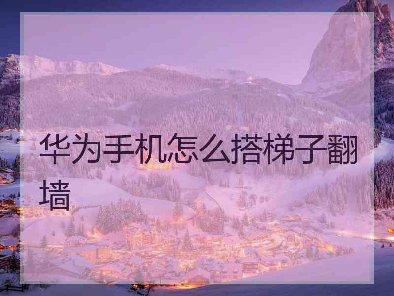 华为手机怎么搭梯子翻墙