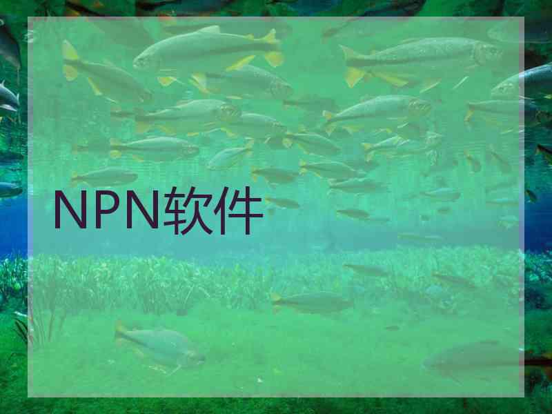 NPN软件