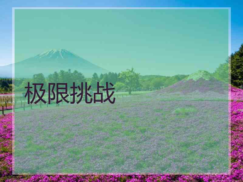 极限挑战