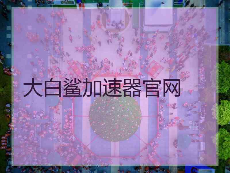 大白鲨加速器官网