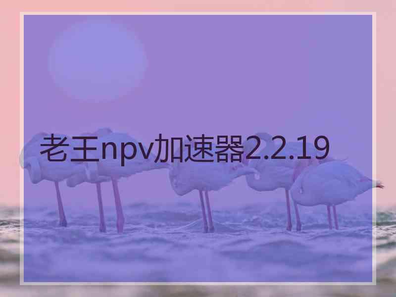 老王npv加速器2.2.19