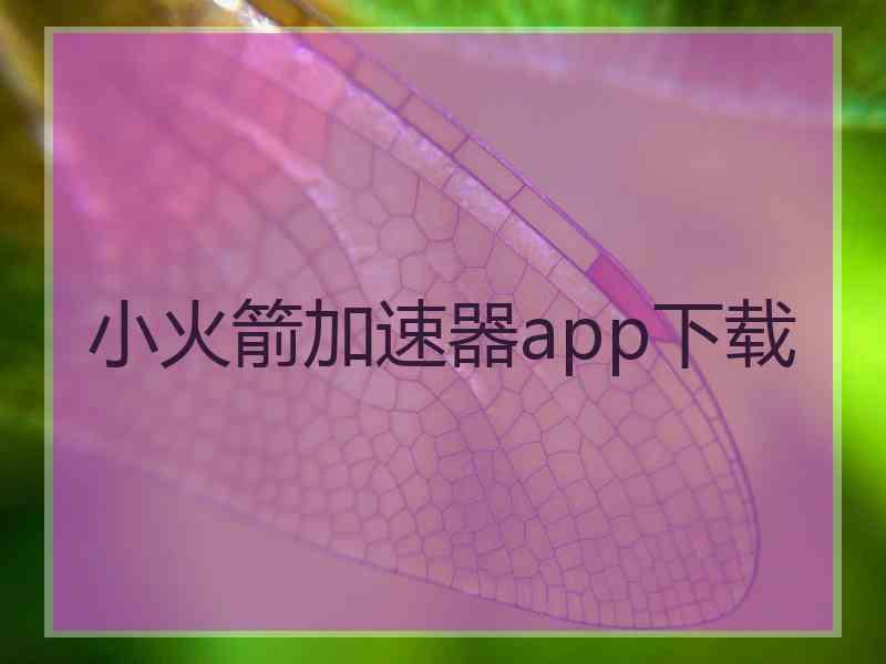 小火箭加速器app下载