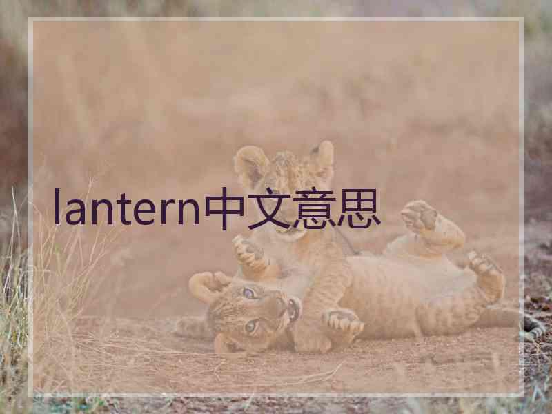 lantern中文意思