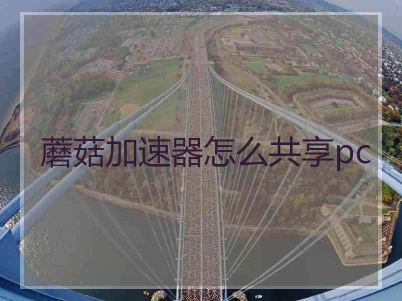 蘑菇加速器怎么共享pc