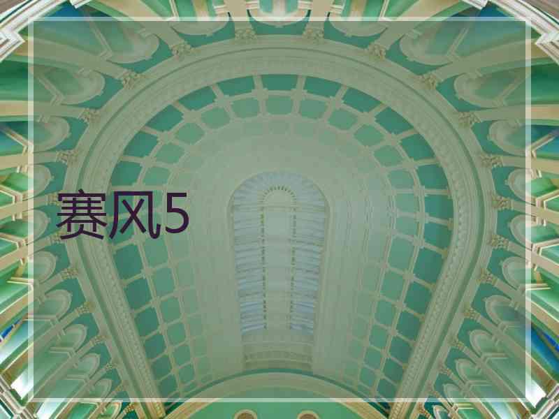 赛风5