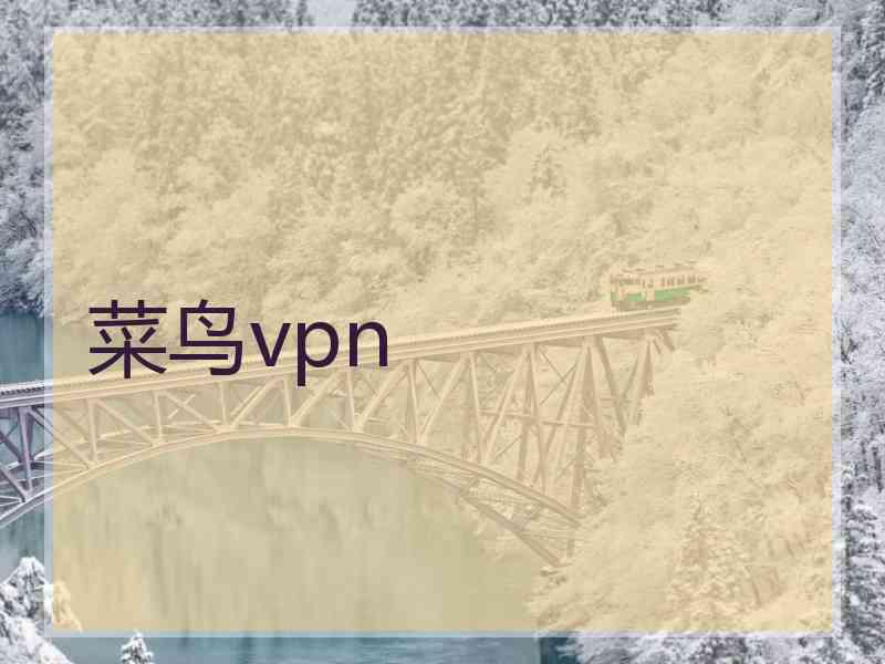菜鸟vpn
