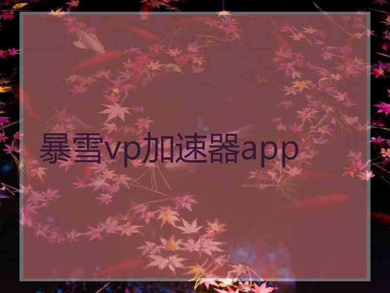 暴雪vp加速器app