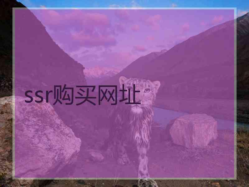 ssr购买网址