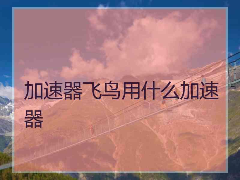 加速器飞鸟用什么加速器