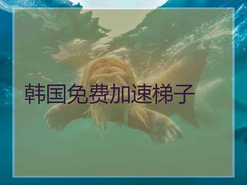韩国免费加速梯子