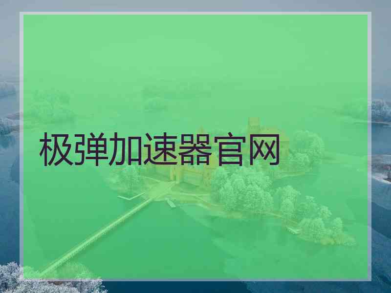 极弹加速器官网