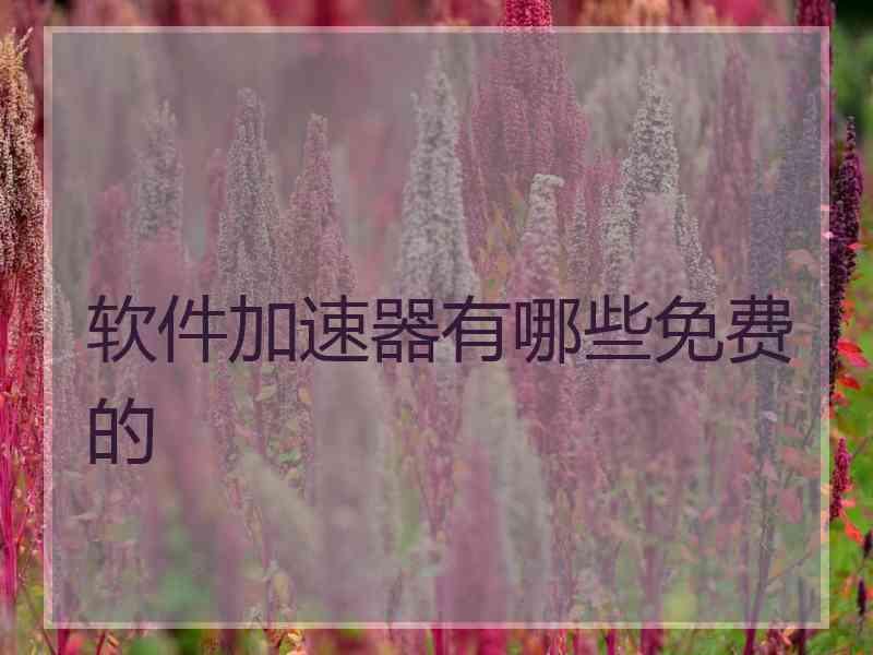 软件加速器有哪些免费的