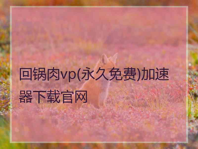 回锅肉vp(永久免费)加速器下载官网