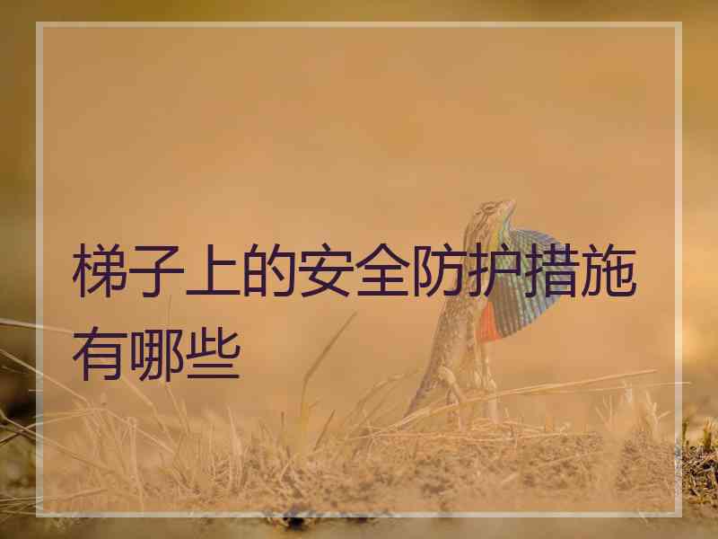 梯子上的安全防护措施有哪些