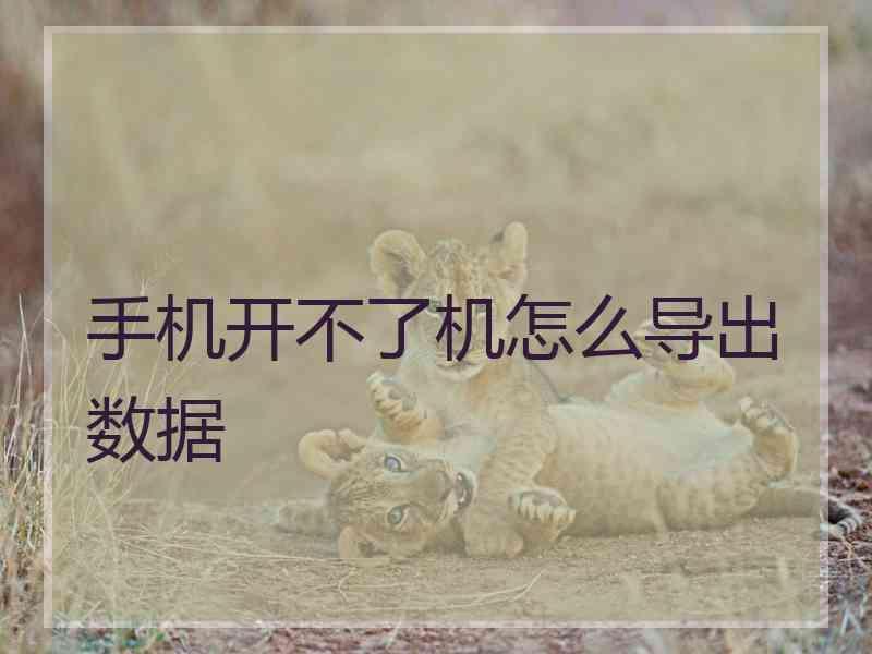 手机开不了机怎么导出数据