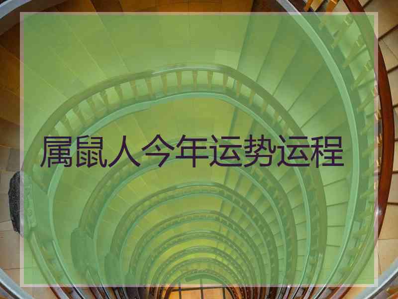 属鼠人今年运势运程