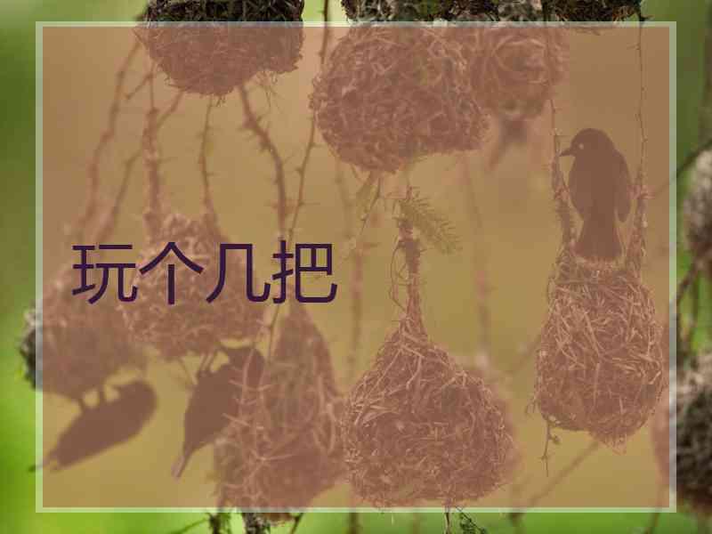 玩个几把