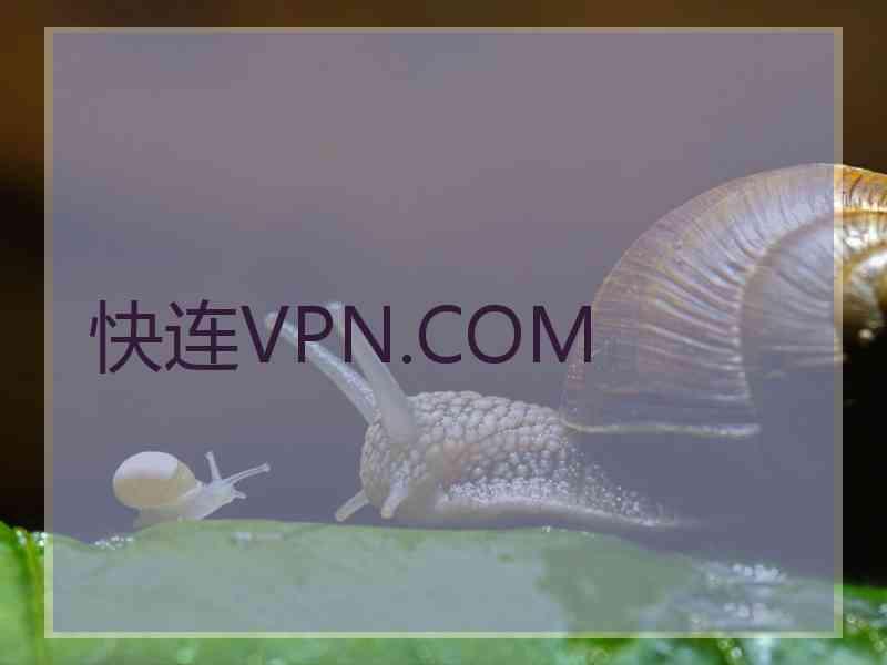 快连VPN.COM