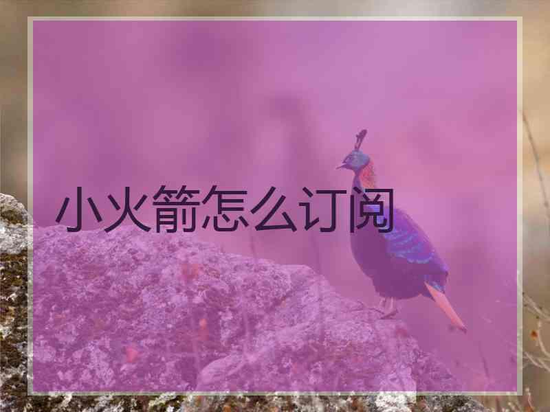 小火箭怎么订阅