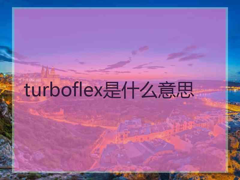 turboflex是什么意思