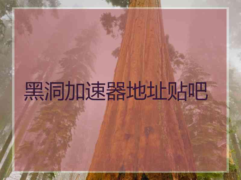 黑洞加速器地址贴吧