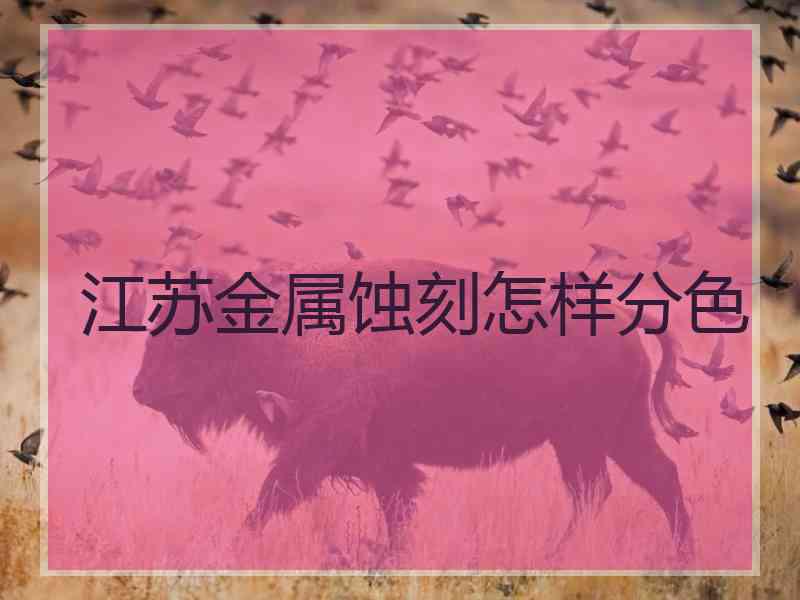 江苏金属蚀刻怎样分色