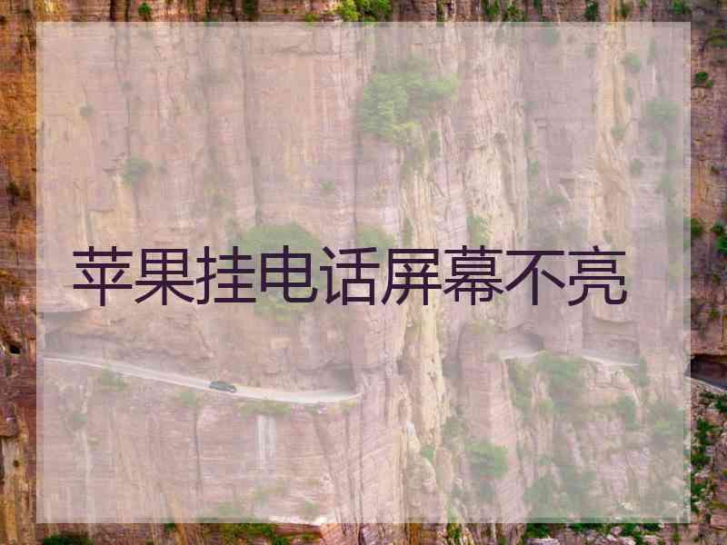 苹果挂电话屏幕不亮