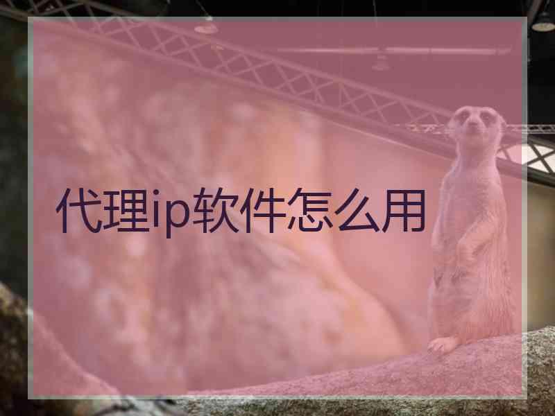 代理ip软件怎么用