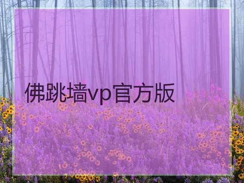 佛跳墙vp官方版