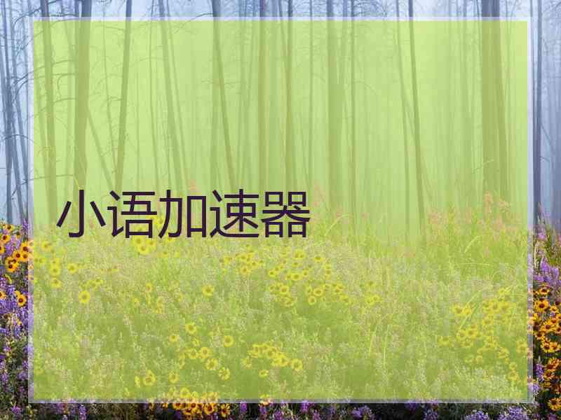 小语加速器