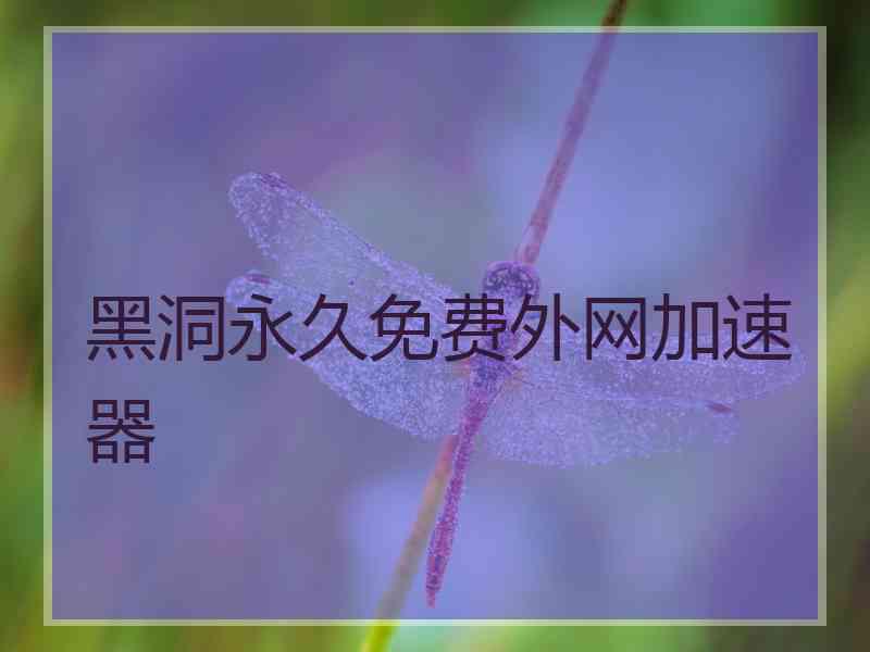 黑洞永久免费外网加速器