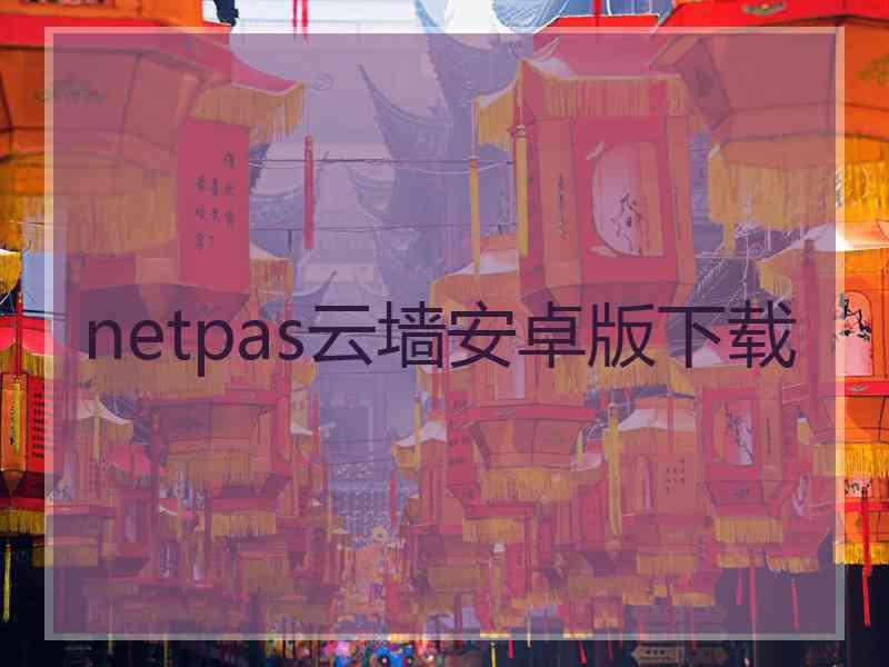 netpas云墙安卓版下载