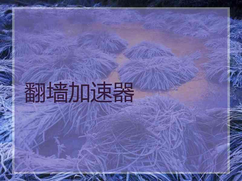 翻墙加速器