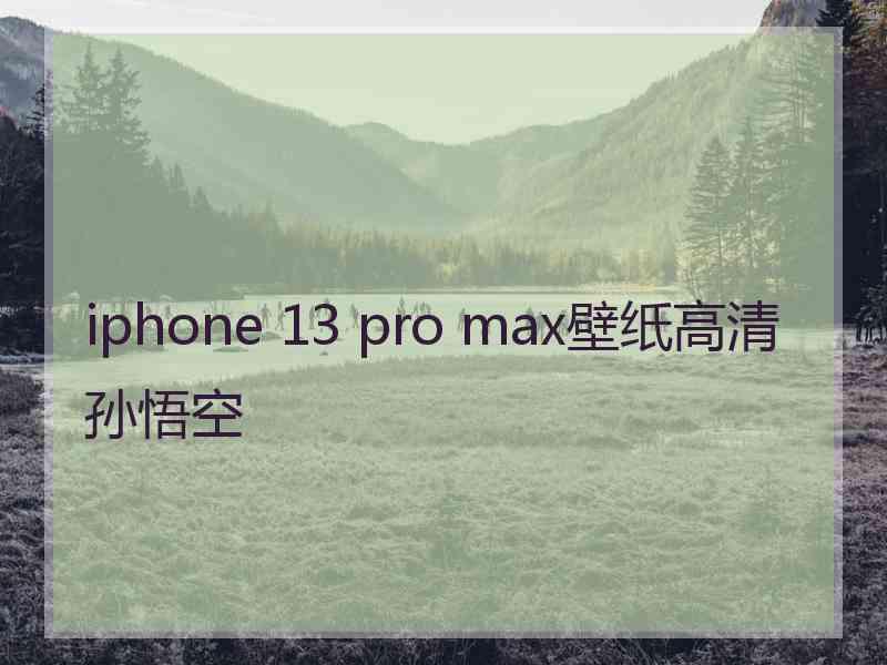 iphone 13 pro max壁纸高清孙悟空