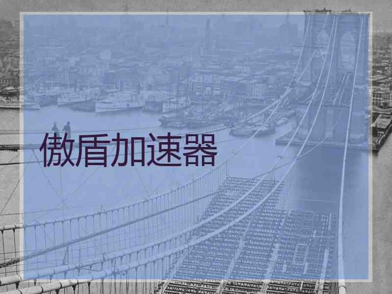 傲盾加速器