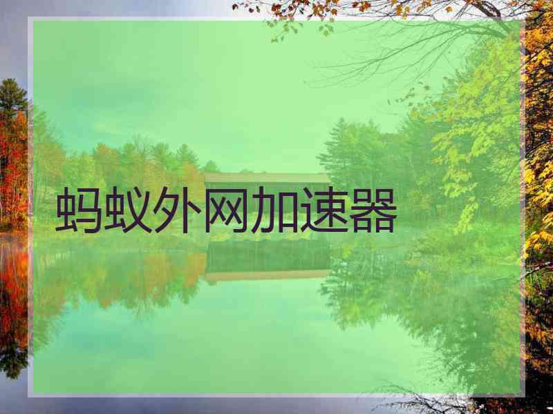 蚂蚁外网加速器