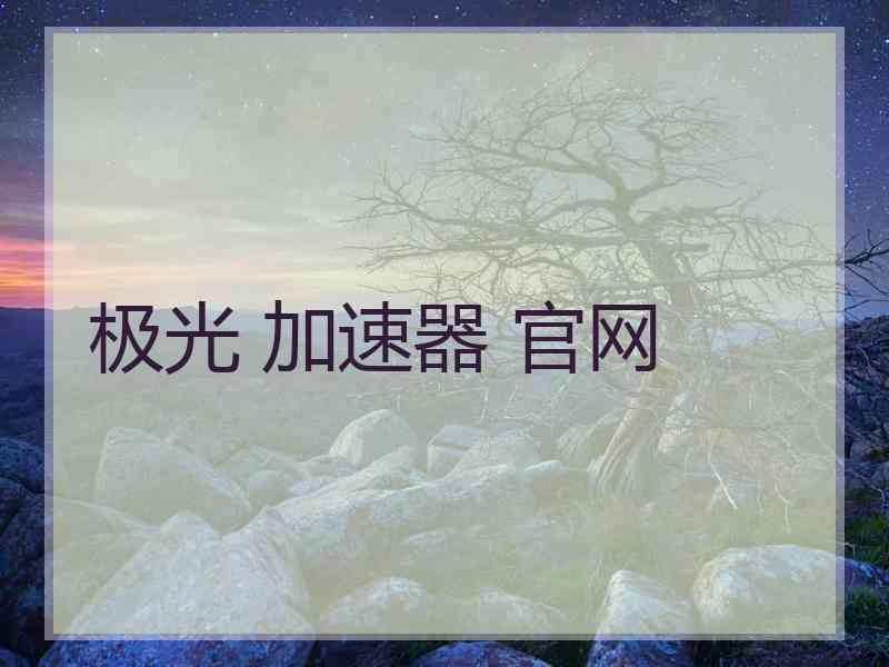 极光 加速器 官网