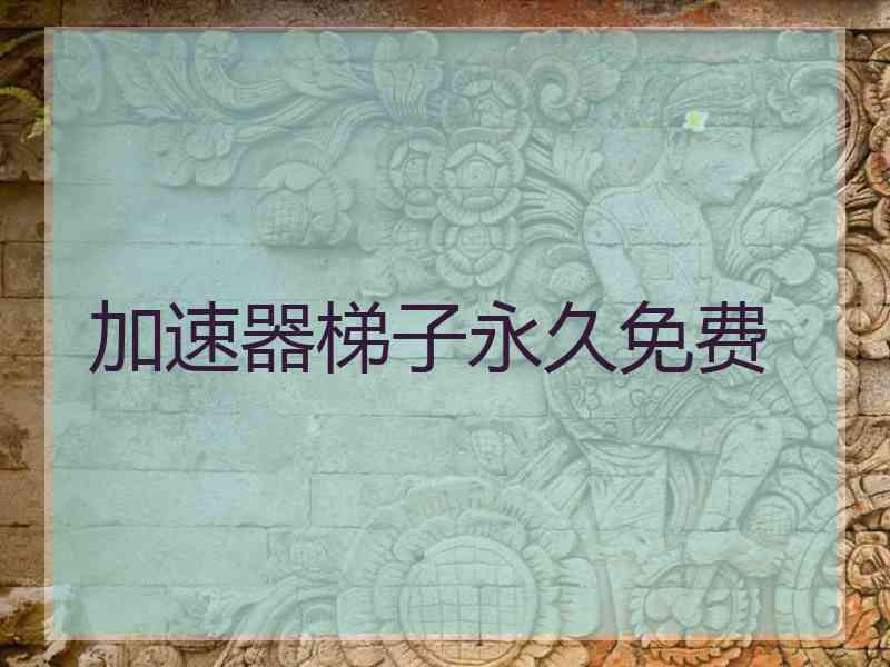 加速器梯子永久免费
