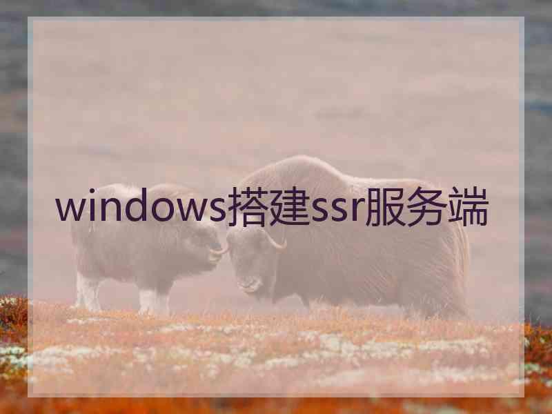 windows搭建ssr服务端