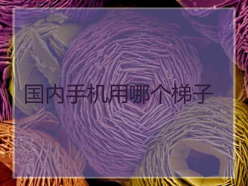 国内手机用哪个梯子