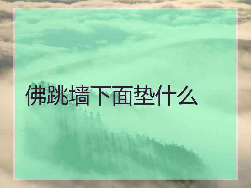 佛跳墙下面垫什么