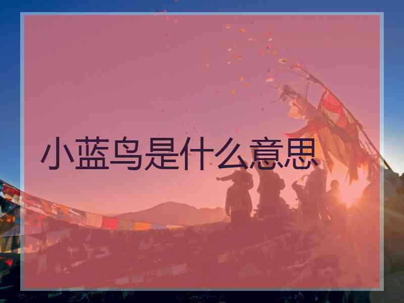 小蓝鸟是什么意思