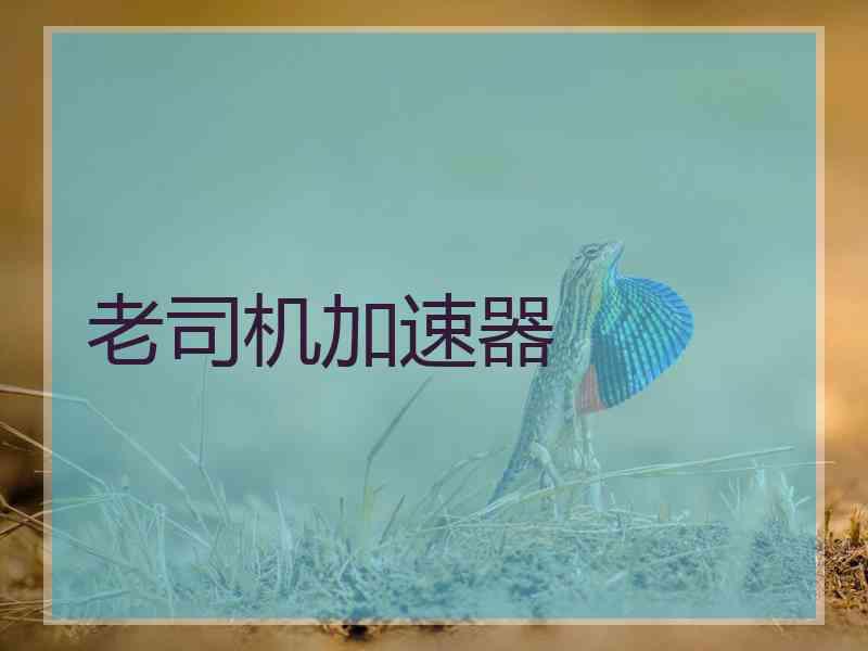老司机加速器