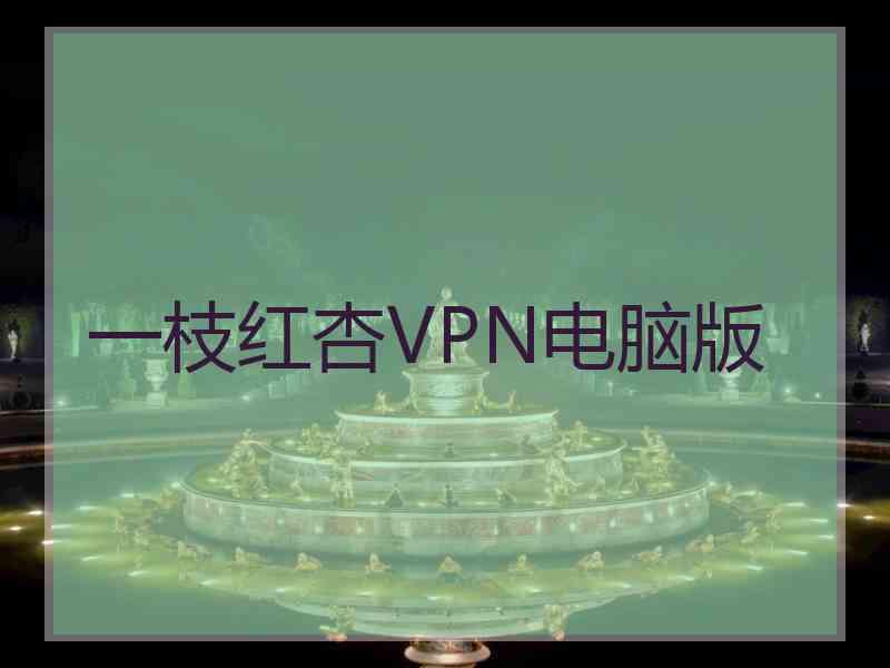 一枝红杏VPN电脑版