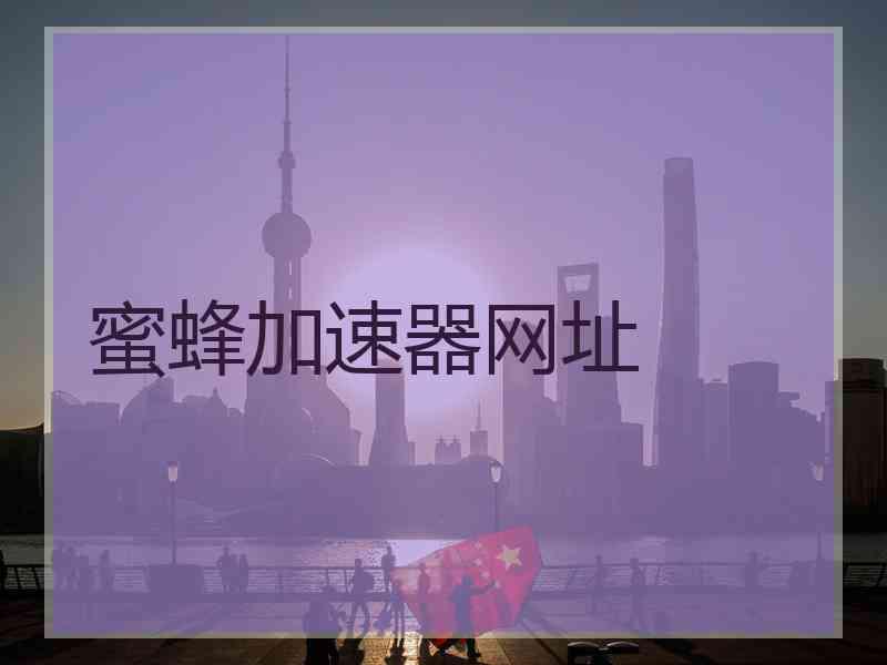 蜜蜂加速器网址