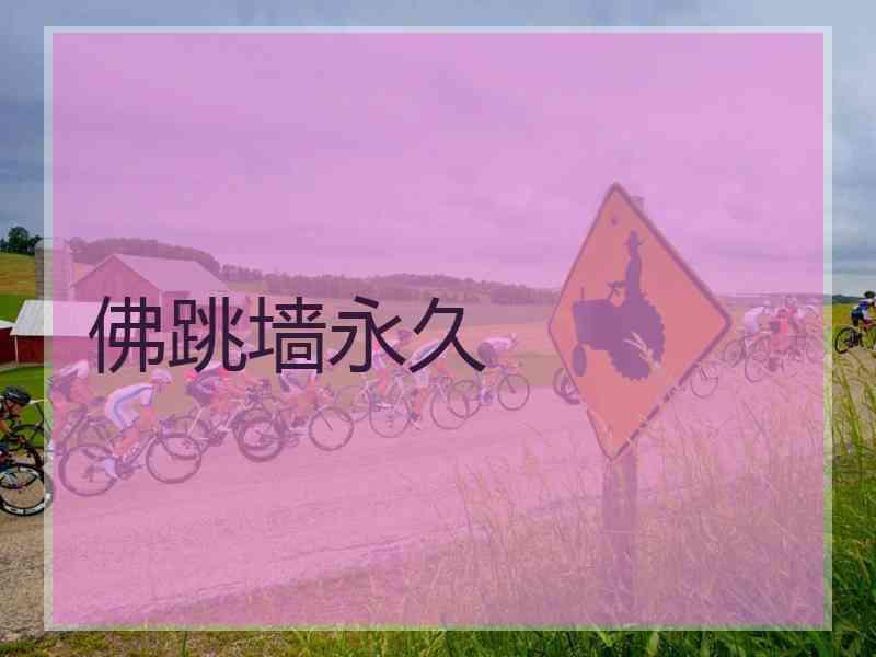 佛跳墙永久